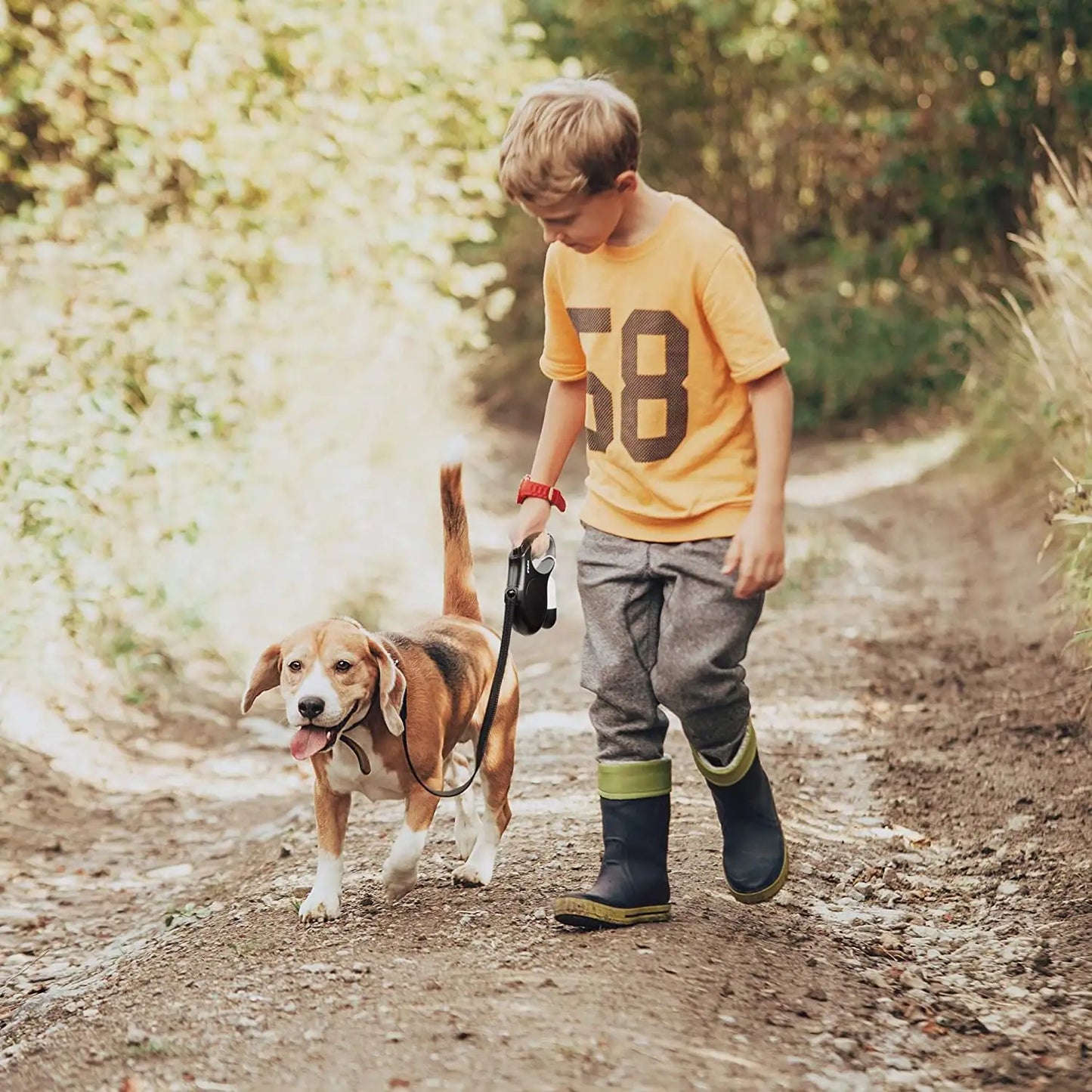 Dog Leash